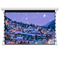 AREDY拉线幕幕布白玻纤 150寸16:9