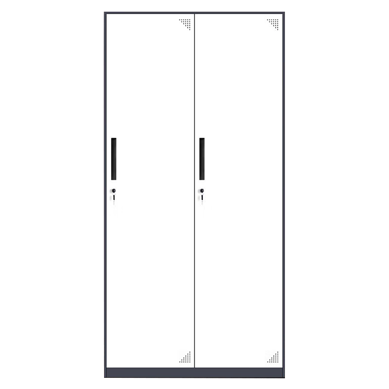 源而桔 套色二门更衣柜铁皮柜W900*D400*H1850mm/个