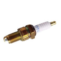 中扭科技火花塞ZN3.0-BOSCH-R6 /个