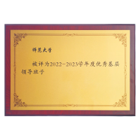 春羽宏博 热转印木托奖牌35*50cm 可定制 J868/块