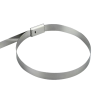 斯赞 304不锈钢自锁式扎带 12*1000mm 根