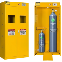 桃锦堂 防爆气瓶柜双瓶 台