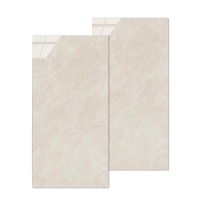 众翼宏翔 地砖 300mm*600mm 块