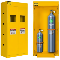 桃锦堂 气瓶柜双瓶 台