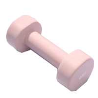 闪电客哑铃女士健身家用10kg公斤8一对铸铁儿童男士