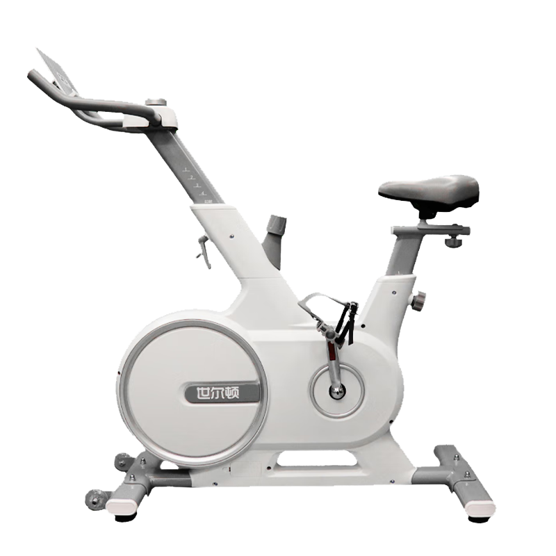 世尔顿(SHIERDUN) 动感单车 SED-D500M 台