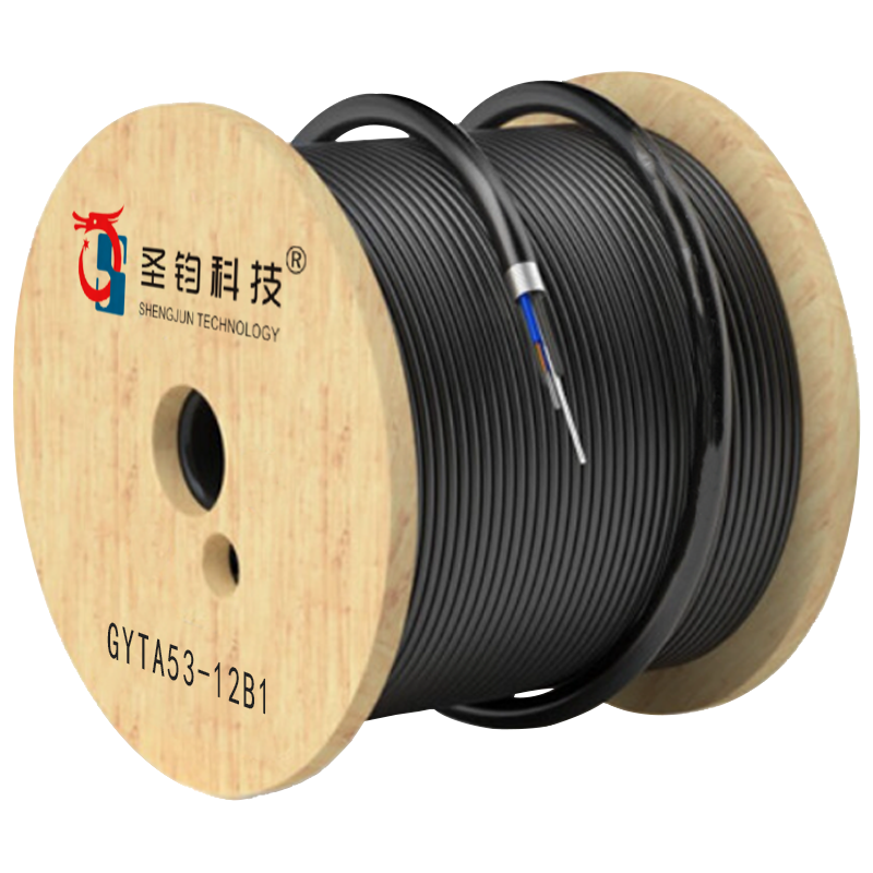 圣钧科技 SHENGJUN TECHNOLOGY通信光缆12芯 GYTA53-12B1+米