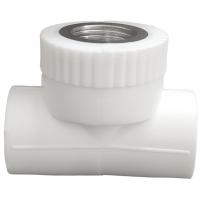 云型巨 PPR内丝三通 PPR管配件 塑料管配件 20*1/2 单位:个