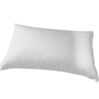 隽夏 枕头 48*74 个