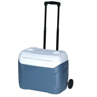 熊晟 收纳 保温箱 54L/个