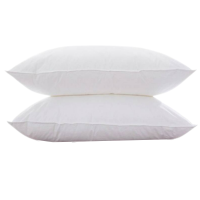 梦佳莉 舒适羽丝绒枕芯 SY-ZX02 45*75cm*800g 个