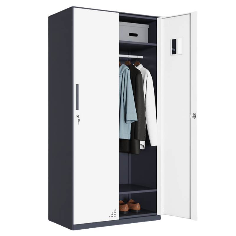 蕃蒂钢制衣柜二门台