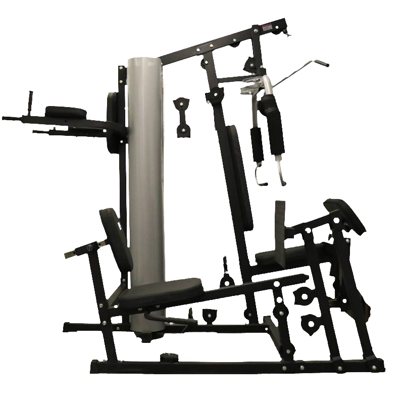 世尔顿(SHIERDUN) 综合训练器三人站 SRD-H63 台