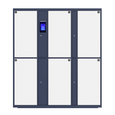 腾焱拖箱存放柜6门台