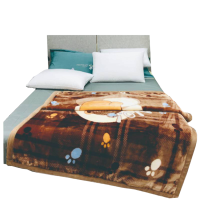 依品居拉舍尔单人毛毯 150*200cm 条