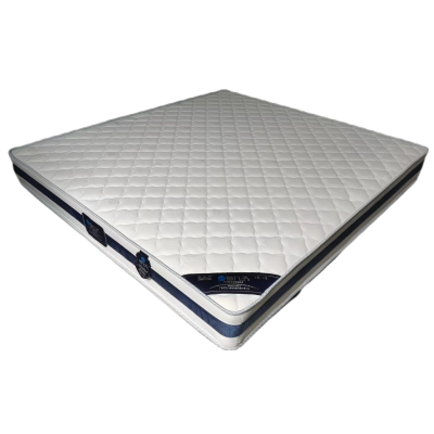 首指(SZ)环保床垫/SZ-D4#