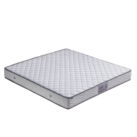 合祥源 椰棕弹簧床垫 1800*2000*200mm QX-CD08 块