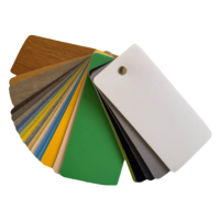 晨洋体育(CHENYANGTY)健身房定制羽毛球场专用地胶(可卷) CYTY-023 平米