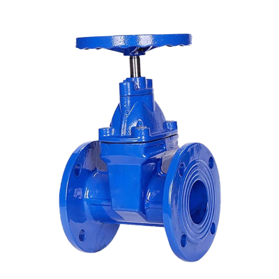 瑞吉君 软密封闸阀 DN100 单位:个