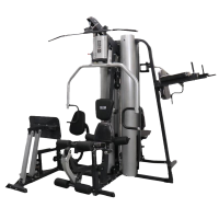 世尔顿(SHIERDUN) 综合训练器五人站 SRD-167 台