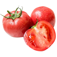 [熊猫鸟]陕西自然熟普罗旺斯西红柿 净重4.5斤 中果 12-16个 新鲜生吃水果露天沙瓤大番茄