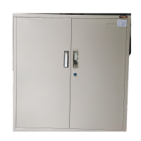 东松 订双门单锁矮柜 850*1000*500 套