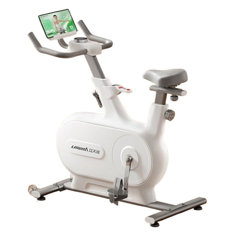 立久佳(lijiujia)动感单车家用款健身器材室内运动专用自行车追风MINI跑步机