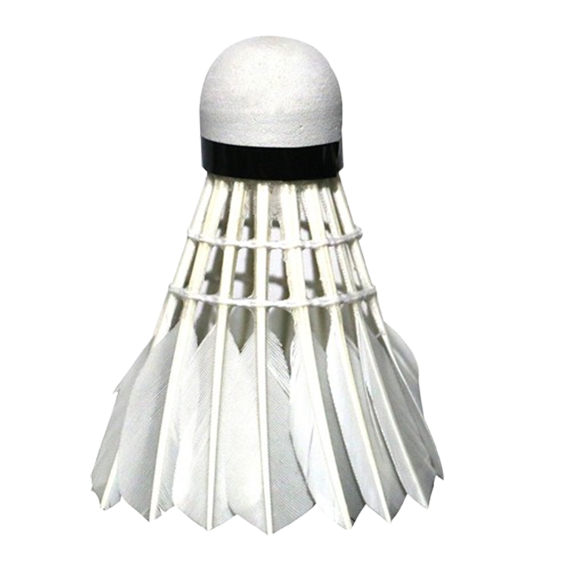 红双喜(DHS)羽毛球耐打室内场馆室外防风耐用不易烂12只装专业比赛用球