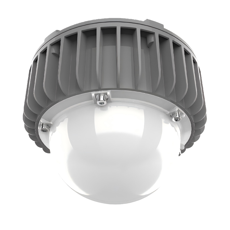 伊思盼 ESSSPSY三防灯811 50w 三防灯811-小(计价单位:套)银色