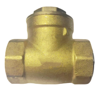 DERKAHE 黄铜止回阀 DN15 个