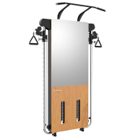 舒华G699壁挂式综合拉绳训练器一体家用多功能室内健身房运动器材