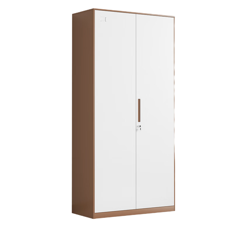 腾焱文件柜咖白通铁台