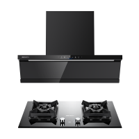 帅康(sacon)Y865+E8T01F烟灶套餐顶侧双吸29立方厨电套装超薄平嵌变频吸油烟机燃气灶抽油烟机灶具套餐液化气