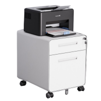 桃锦堂 钢制活动柜两抽 个