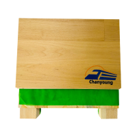 晨洋(Chanyoung)舞蹈木地板 HYTY-002 平米