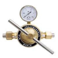 嘉禾长久 氧气减压气检测定制型 氧气表(单头) 个
