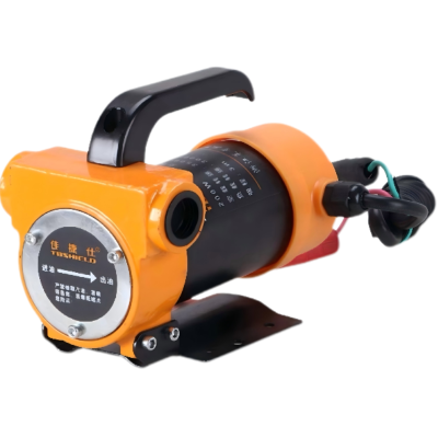 抽油泵 JS16024V/24V*200W