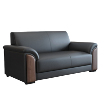 乐琪艺沙发双人张