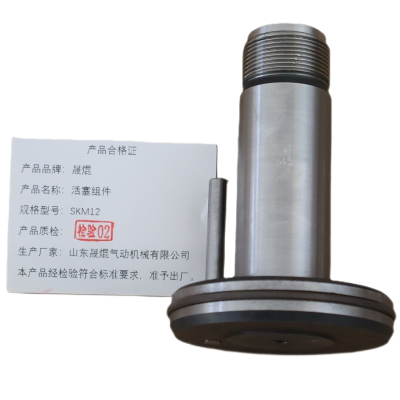 晟焜活塞组件SKM12