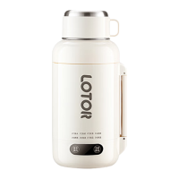 LOTOR烧水壶热水壶便携式旅行电水壶不锈钢电壶保温烧水杯开水壶恒温煮水壶户外电热水瓶0.85L绿色[316L钢内胆]