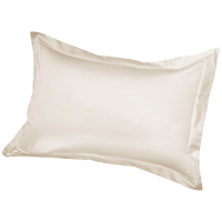 路吉通 纯棉枕套 58*88cm 个