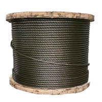 嵩源油性钢丝绳 6*19*12mm 米
