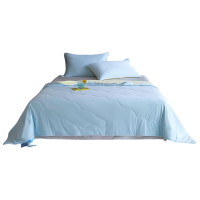 伊伊爱 水光锦氨透气莱赛尔大豆夏凉被