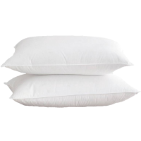 广顺泰 枕芯 E-408 个