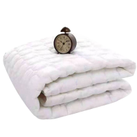 晋涵 床垫褥子 4斤/张