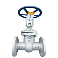 瑞吉君 法兰铸钢闸阀 DN50 单位:个