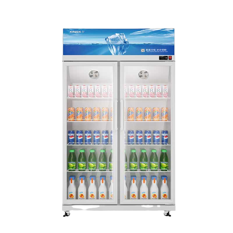 星星(XINGX) 502升双门展示柜铝合金边框 LOW-E玻璃门 冷藏保鲜超市冷饮陈列柜 风直冷款LGC-900FKE