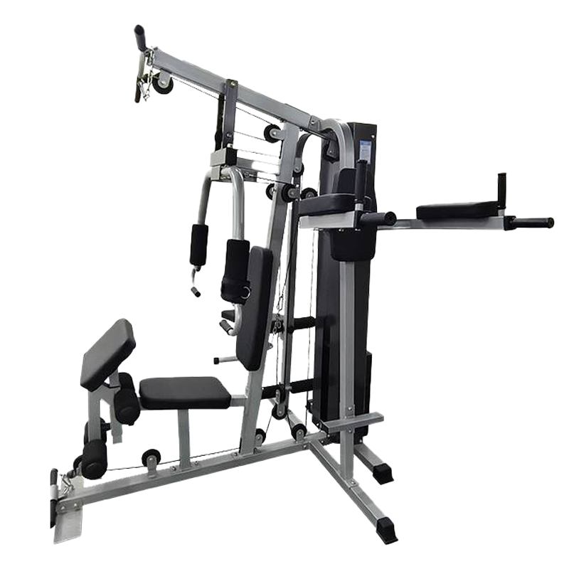 世尔顿(SHIERDUN) 综合训练器三人站 SR-036 台