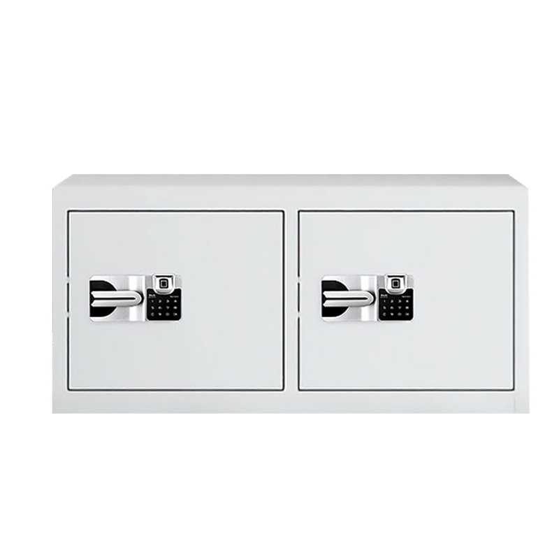 奇桄烁保密柜指纹锁并排二门台