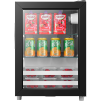 北昼食品留样柜学校食堂留样专用柜冰箱家用保鲜冷藏展示柜小冰柜双锁_SC-110K单锁带灯无温度显示